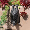 Helloween Bat Statue Garden Decor Plant Pot Hugger Resin Flower Pot and Vase Hugger Planter Pot Hanger Hanging Bat Figurines Lawn Sculptures Outdo...