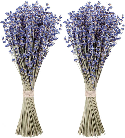 MAQ's Dried Lavender Bundles - 100% Natural Dried Lavender Flowers with 300 Stems (16-17 Inches) for Home Fragrance, Weddings & Party Decoration |...