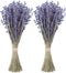 MAQ's Dried Lavender Bundles - 100% Natural Dried Lavender Flowers with 300 Stems (16-17 Inches) for Home Fragrance, Weddings & Party Decoration |...