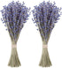 MAQ's Dried Lavender Bundles - 100% Natural Dried Lavender Flowers with 300 Stems (16-17 Inches) for Home Fragrance, Weddings & Party Decoration |...