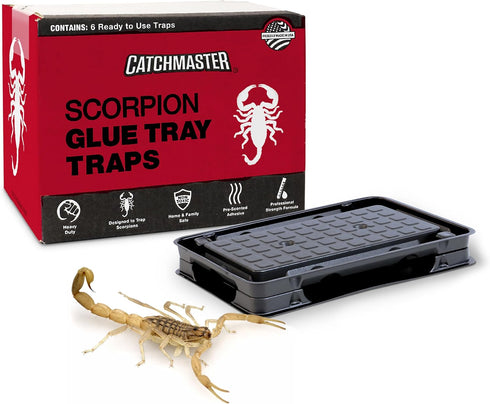 Catchmaster Scorpion Glue Tray Traps 6-Pack, Adhesive Scorpion Killer for Home, Simple Insect Traps Indoor, Sticky Bug Catcher for Kitchen, Garage...