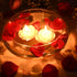 Zest Candle 12-Piece Floating Candles, 3-Inch, Ivory Rose...