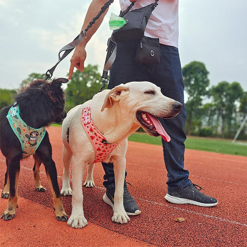 COOWONE Dog Treat Pouch,Drawstring Dog Training Pouch Bag with Shoulder Strap Phone Pocket Poop Bag Dispenser | Pet Treat Training Bag for Treats,...