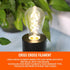 Fishbone Filament LED Edison Bulbs, ST64 E26 Dimmable Vintage Light Bulbs, 60 Watt Equivalent, 4000K Daylight White Teardrop Light Bulbs for Dinin...
