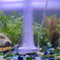 Fish Tank Bubbler Aquarium Air Stone Bubble Stone Betta Fish Tank Decor Accessories Small Oxygen Stone Quiet High Dissolving Oxygen Diffuser for A...