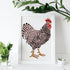 2 Pcs Large Layering Coloring Dominique Chicken Stencil for Painting 11.7×8.3 inches Reusable Layered Painting Stencils for Painting on Wood, Canv...