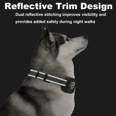 Collar Replacement Strap Compatible with Most Dog Training Collar Receivers...