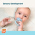 RaZbaby RaZberry Plus Baby Teether – Easy-to-Hold Toy for Front & Back Teething Relief, BerryBumps Texture for Sensory Development, Soothes Sore G...