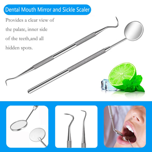 Professional Dental Pick Tools Kit, Teeth Cleaning Calculus Remover Tool for Dentist, Personal Using, Pets Oral Care Set with Dental Mirror Dental...