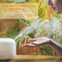 Essential Oil Sets - for Diffuser,Humidifier with Mango,Watermelon,Passion Fruit,Cherry,Lime,Freesia Essential Oils 6 X 10 ML...