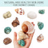 Hermit Crab Shells Medium and Large - 12PCS Growth Turbo Seashells Size 1.4"-3.2" for Small Medium and Large Crabs - Saltwater Hermit Crab Supplie...
