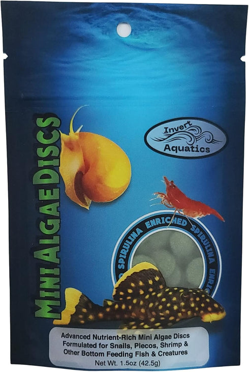 Mini Algae Discs...