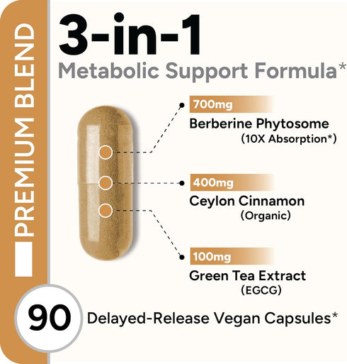 High Absorption Berberine Phytosome - 10X More Bioavailable | Weight Management & Metabolic Support for Women & Men | Ceylon Cinnamon + Green Tea ...