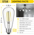 Vintage LED Edison Bulbs, 6W, Equivalent 60W, High Brightness Daylight 5000K, ST58 Antique LED Filament Bulbs with 90+ CRI, E26 Medium Base, Dimma...