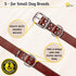 ADITYNA - Heavy-Duty Premium Leather Dog Collar for Small Dogs - Padded with Soft Genuine Leather for a Cozy Feel...