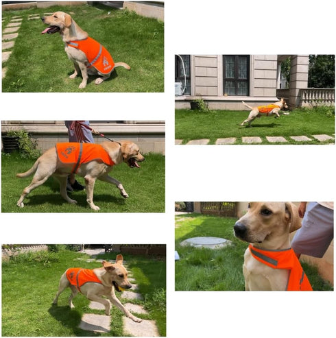 Reflective Dog Vest,High Visibility Orange Dog Vest,Dog Safety Vest for Walking, Jogging or Training L...