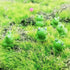 20 Pcs Mini Animals Miniature Resin Frogs,Cute Frogs Fairy Garden Moss Landscape Ornaments for Outdoor Decoration,Home Décor …...