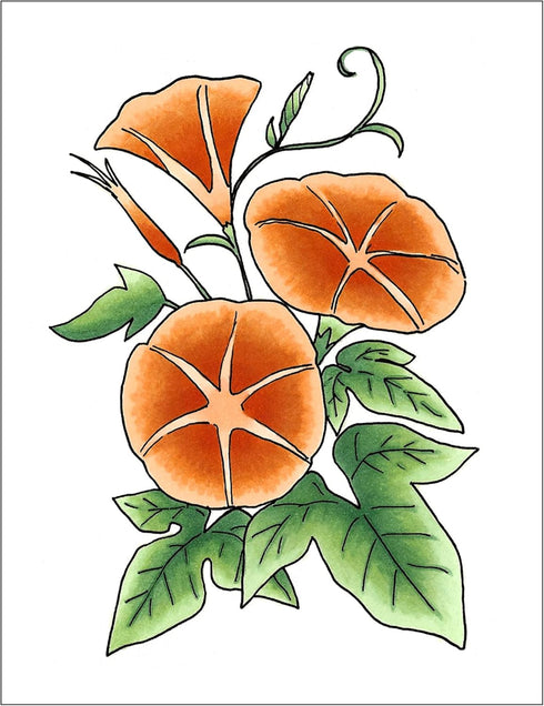 Copic Sketch, Alcohol-based Markers, 3pc Set, Color Fusion #4, Orange...