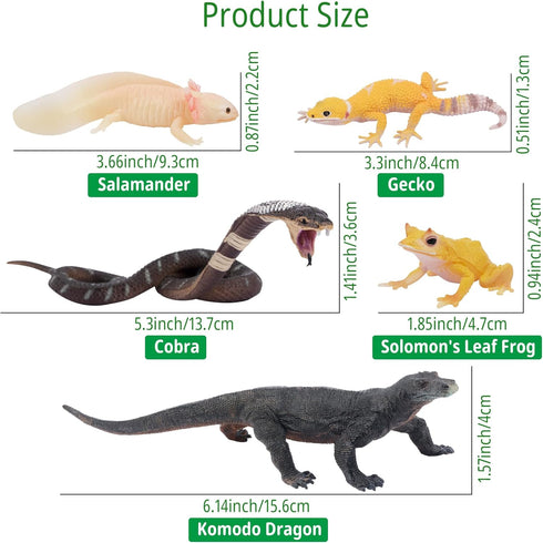 Toymany 12PCS Reptile Animal Figurine Toys Set, Cold Blooded Amphibians Desert Animal Figures with Komodo Dragon Lizard Snake Chameleon Rainforest...