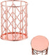 Rose Gold Pencil Cup Wire Metal Mesh Pen Holder Make Up Brush Holder, Pen Cup Pen Organizer Accessories for Desk Office Home School 1PC...