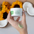 Plant Therapy Healing Balm 4 oz 100% Pure & Natural, Nutrient-Rich Botanical Formula, Soothing Ingredients: Shea Butter, Tamanu Oil, and Calendula...