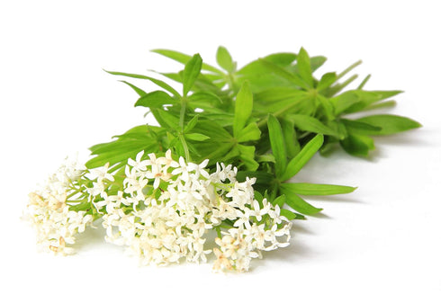 Health Embassy Sweet Woodruff Herb | Galium Odoratum L | Herbal Tea (50g)...