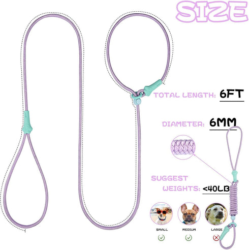 No Pull Dog Leash Slip Lead Dog Leash Dog Leash for Small Medium Large Dogs 6Ft 8 Colors Classic Dog Leash Dog Rope (Purple)...