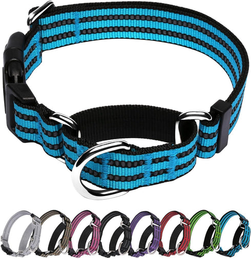 Martingale Dog Collar, Adjustable Nylon Reflective Collar with Buckle No Pull Dog Collar for Small Medium Large Dogs (Blue M)...