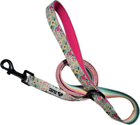 Cute 5ft Dog Leash, Stylish Nylon with Padded Handle for Everyday Walking & Comfort – for Small, Medium, Large XL Breed Dogs – Pet Accessories by ...