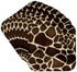 3dRose cst_34786_2 Giraffe Coat Soft Coasters, Set of 8...