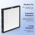 ToLife TZ-K2 Air Purifier Replacement Filter, 3-in-1 HEPA High-Efficiency Activated Carbon Filter, TZ-K2-A, 1 Pack, White...