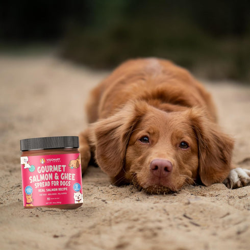 Visionary Pet Foods Tasty Spread for Dogs - Salmon Recipe - The Healthy Dog Treat - Alternative to Dog Peanut Butter - Use on a Dog Food Mat - Dog...