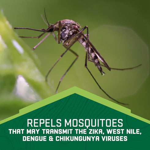 Repel Family Insect Repellent, Aerosol, 4 oz...