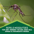 Repel Family Insect Repellent, Aerosol, 4 oz...