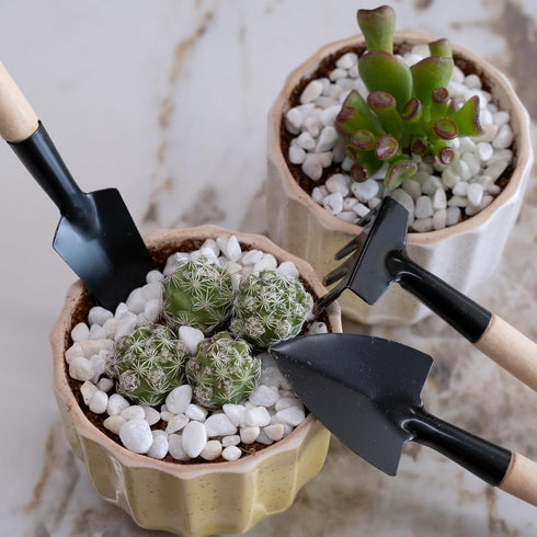 Set of 3pcs Gardening Tools for Small Plants Succulents Pots Flower Cactus - Bonsai Tool Kit Gift for Kids and Adults...