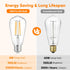 WIHTU LED Filament Light Bulbs, Bright Vintage 6W LED Edison Bulbs 60W Equivalent, St58 2700K Warm Light Bulbs with CRI 85+, E26 Standard Base, 90...