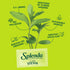SPLENDA Stevia Zero Calorie Sweetener for Baking, Plant Based Sugar Substitute Granulated Powder, 9.7oz Resealable Pouch...