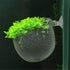 5 Pcs Plastic Aquatic Plant Pots, Aquarium Plant Pots with Suction Cups, Acrylic Aquarium Planter, Red Shrimp Live Plant Fish Tank Holder...