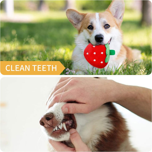 Toozey Puppy Toys, 12 Pack Puppy Toys for Teething Small Dogs, Cute Dog Toys Small Dogs, Stuffed Plush Squeaky Small Dog Toys, Non-Toxic and Safe ...