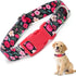 Girl Dog Collar with Red Flowers, Cut Female Dog Collar with Quick Release Buckle & Adjustable Comfy Pet Collar for Small Medium Large XL Dogs (Re...