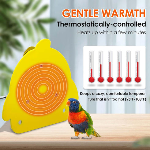 Bird Cage Heater for Cockatiels Parrots Conure Finches Parakeets Heater Bird Heater for Cage Snuggle Up Bird Warmer Heater 12V Birdcage Warmer 18W...