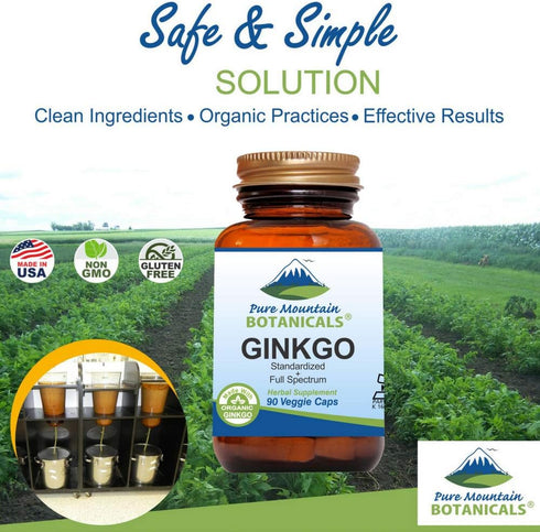 Ginkgo Biloba Capsules – Kosher Vegan Caps with 400mg Ginkgo Biloba Leaf and Ginko Extract Supplement...