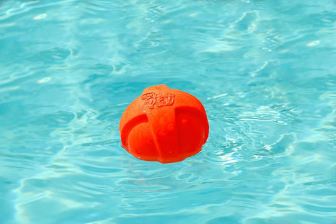 Hartz DuraPlay Ball Squeaky Latex Dog Toy, Neon Green, Neon Pink & Neon Orange, Large 3 Count Pack...