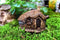 Top Collection Enchanted Story Garden and Terrarium Thatched Roof Fairy House Outdoor Decor, 2.25-Inch...