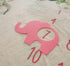 Floral Elephant Baby Monthly Milestone Blanket, Jungle Elephant Girl's Soft Fleece Monthly Milestone Blanket , Girl Elephant Nursery Infant Newbor...