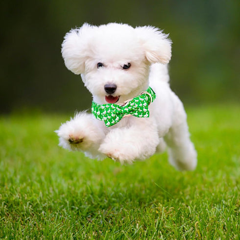 Dog Collar Green Gooses Dog Collar Pet Collar Dog Summer Collar Holiday Dog Collar Girl or Boy Pet Dog Collar Adjustable Dog Collar for Small Dogs...