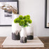 Uieke 10 Pcs Dandelion Artificial Flowers, Artificial Flowers for Decoration Fake Plants Bouquet Plastic Flowers for Home Decoration Wedding Decor...