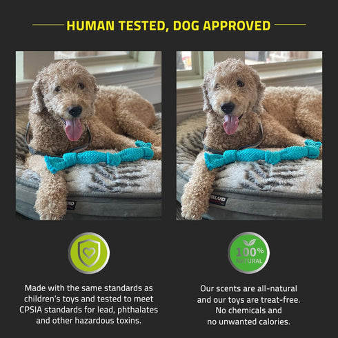 Playology Silver Dri-Tech Dental Rope Dog Toy for Medium Senior Dogs (15-35lbs) - Engaging All-Natural Peanut Butter Scented Dog Chew Toy - Non-To...