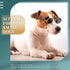 Dog Sunglasses Retro Pet Glasses Doll Glasses Classic Round Dog Glasses Metal Cat Puppy Eye Wear Hippie Costumes for Cats and Dogs, Photos Props C...