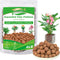 ZeeDix 4LBS Expanded Clay Pebbles for Plants, 4mm-16mm Leca for Plants Clay Aggregate Grow Media, Natural Organic Clay Balls for Hydroponic, Garde...